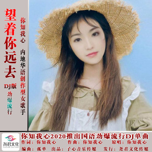 望着你远去 (女声DJ版)
