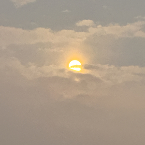 后来我们学会了