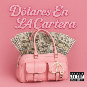 Dόlares En LA Cartera