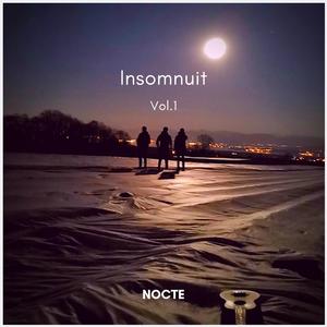 Insomnuit, Vol. 1