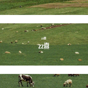 zz