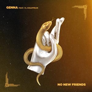 No New Friends (feat. VL Disappear)