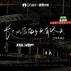 长大以后故乡只有冬天 (深夜版伴奏)
