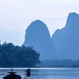 随心流年