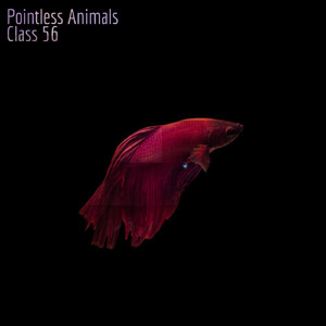 Class 56 (Original Mix)