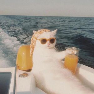 《你呼吸的量子叠加态》