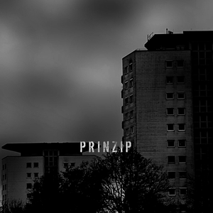 Prinzip