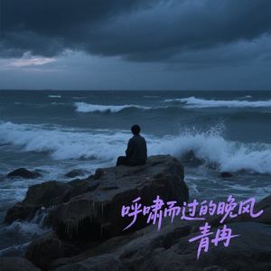 呼啸而过的晚风