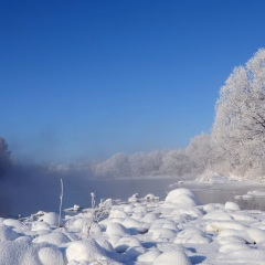 忽然下的一场雪 飘的那么纯洁