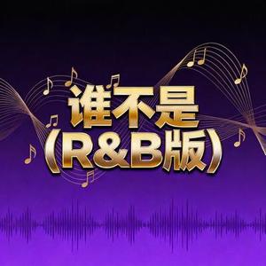 谁不是 (R&B版)(风无念 Remix)