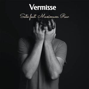 Vermisse (feat. MAXIMUM RAV)