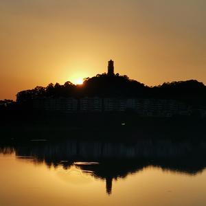 待到山花浪漫时——万绿丛中映山红