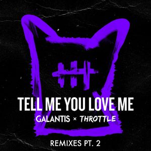 Tell Me You Love Me (Kideko Remix)