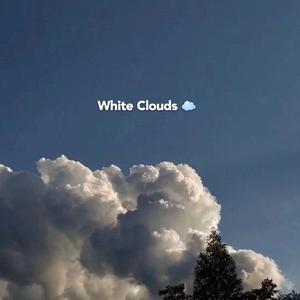 都市丽人生存报告