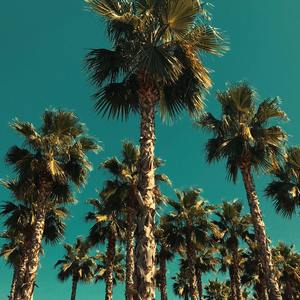 Lonely (Acoustic Covers Versions of Popular Songs)