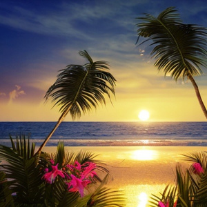 Boyfriend (sped up + reverb)