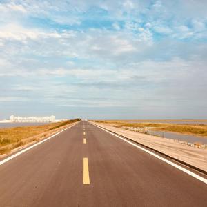 友谊地久天长 口琴