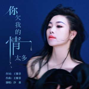 你欠我的情太多（沙泉版）