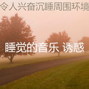 一尘不染做梦印象数