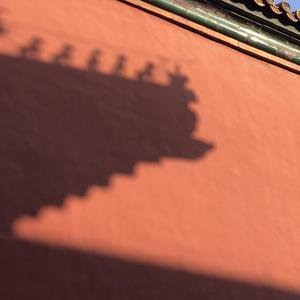 白蛇传·白素贞唱段（你忍心将我伤）