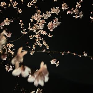 Underneath