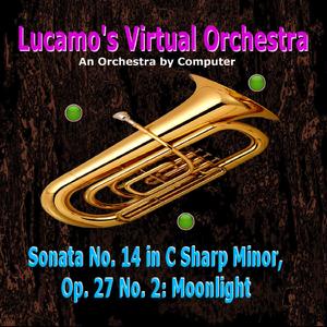 Sonata No. 14 in C Sharp Minor Op. 27 No. 2 Moonlight