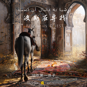 我翻过沙丘在海边追逐落日余晖