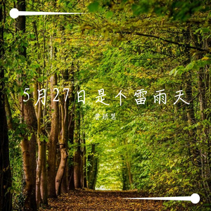 5月27日是个雷雨天