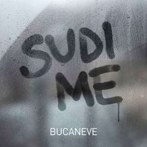 Sudi me