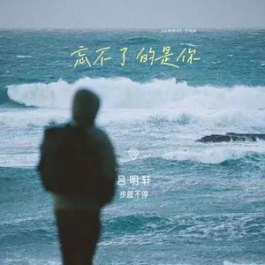 忘不了的是你 (cover: 刘大壮)