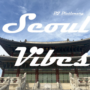 서울 바이브 (Seoul Vibes)