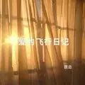 爱的飞行日记