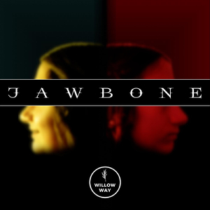 Jawbone