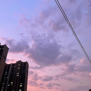 白羊