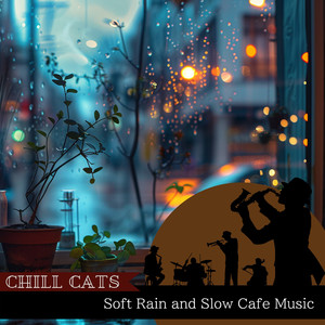 Soothing Shadows and Rain