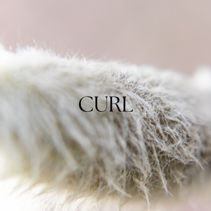 Curl