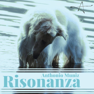 Piano Concerto in D Minor, Op. 7: I. Presto (Without Cadenza)