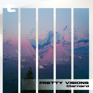 Pretty Visions