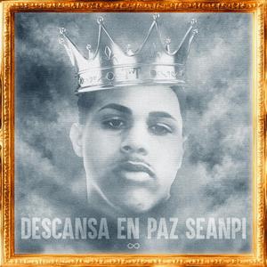 RIP SEANPI (MENOR)