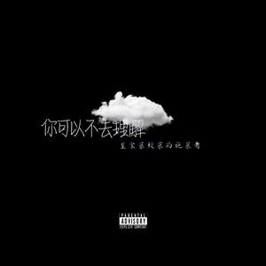 你可以不去理解