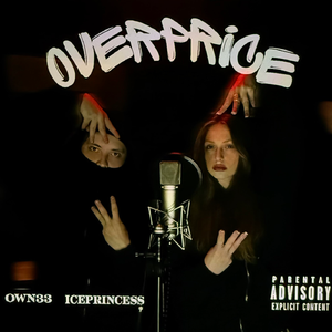 OVERPRICE