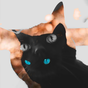 LITTLE＿CAT（Prod.by FaunmU）