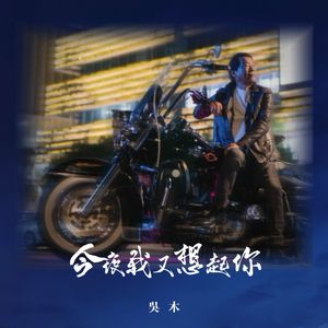 今夜我又想起你