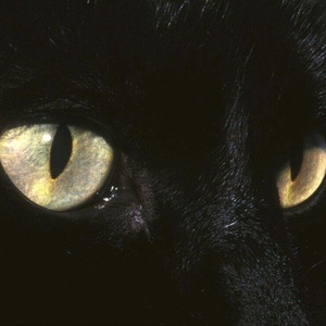 特别的人 cover方大同