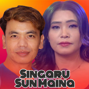 Singaru Sun Maina
