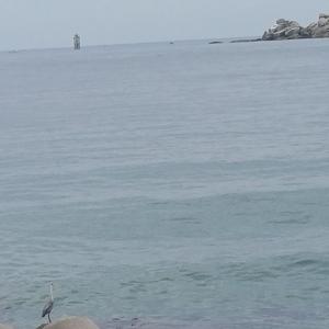 나만의 세계