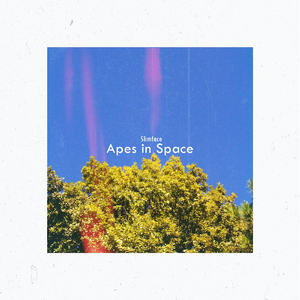Apes In Space
