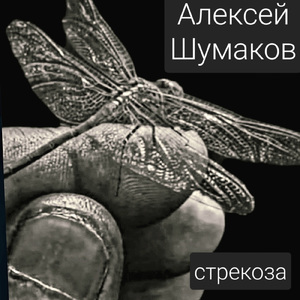 Стрекоза