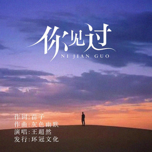 你见过 (DJ彭锐版)