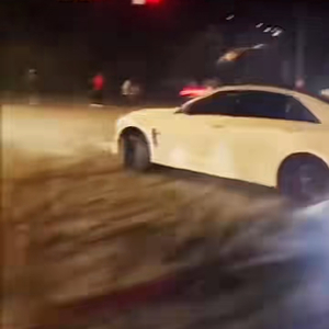 Para Koy Cepi Katda-Orginial